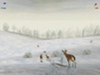 Deer Hunter 4