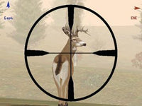 Deer Hunter 4