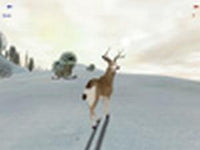 Deer Hunter 4