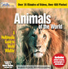 Animals Of The World