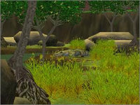 Zoo Tycoon  2