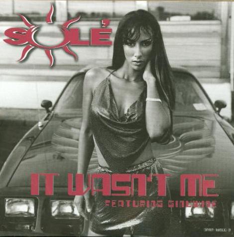 Sole: It Wasn't Me Promo w/ Artwork