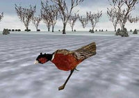 Bird Hunter: Upland