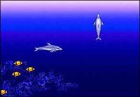 Ecco the Dolphin