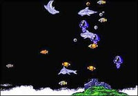 Ecco the Dolphin