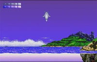 Ecco the Dolphin