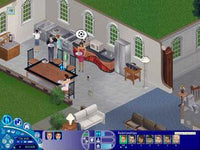 The Sims