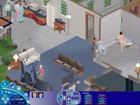 The Sims