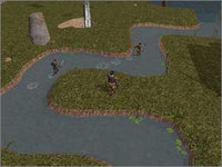 Neverwinter Nights