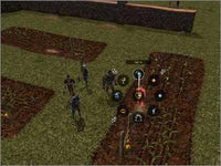 Neverwinter Nights