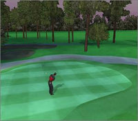 Tiger Woods 2005