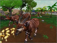 Zoo Tycoon: African Adventure 2