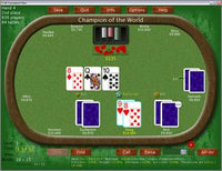 Tournament Poker: No Limit Texas Hold'em