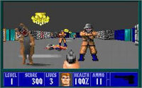 Wolfenstein 3D: Shareware w/ No Artwork