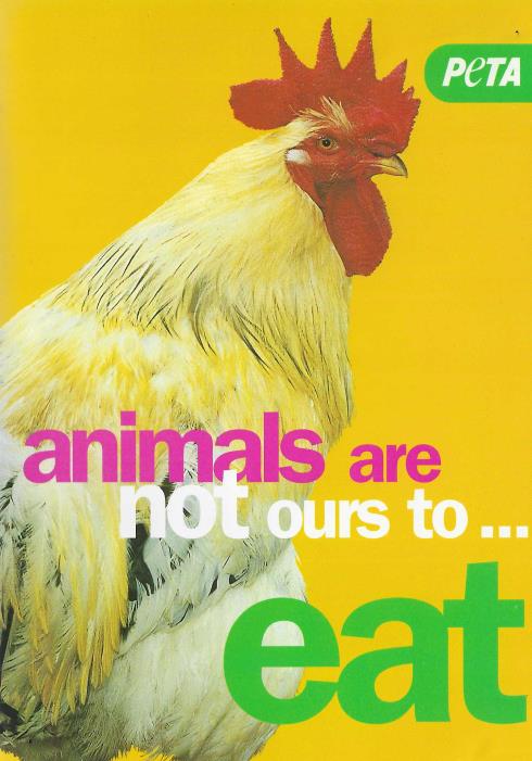 Animals Are Not Ours To... Eat