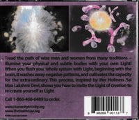 Brain Illumination: Building Your Light Body Volume One