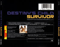 Destiny's Child: Survivor: Dance Mixes