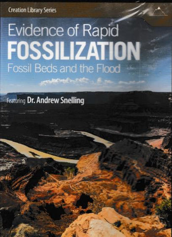 Evidence Of Rapid Fossilization: Fossil Beds & The Flood