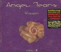 Angel Tears: Vision Vol. 4