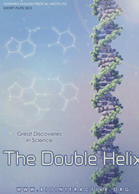 The Double Helix