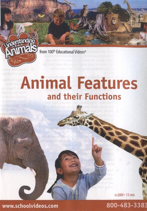 Understanding Animals: Animal Features And Their Functions