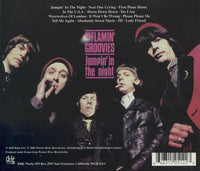 The Flamin' Groovies: Jumpin' In The Night