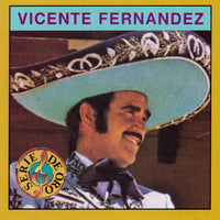 Vicente Fernandez: Vicente Fernandez