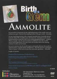 Stones Of Fate And Fortune: Ammolite: Birth Of A Gem