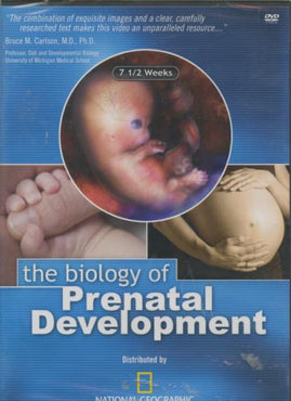 The Biology Of Prenatal Development