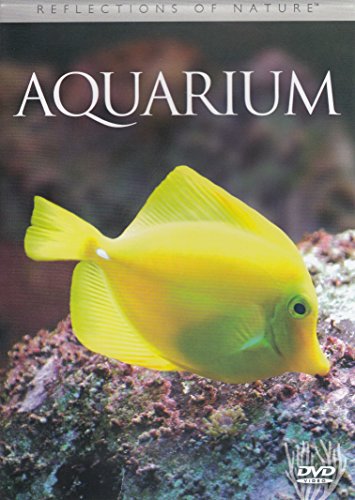 Reflections Of Nature: Aquarium