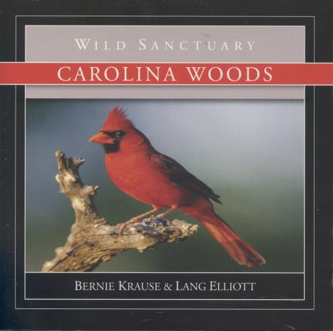 Wild Sanctuary: Carolina Woods