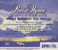 Praise Hymn Soundtracks: Wind Beneath My Wings