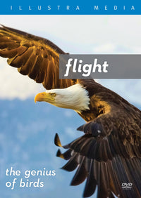 Flight: The Genius Of Birds