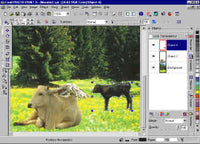 Corel Photo-Paint 8 OEM