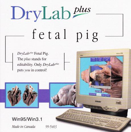 DryLab Plus Fetal Pig