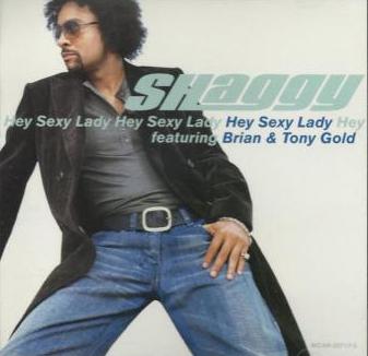 Shaggy: Hey Sexy Lady Promo w/ Artwork