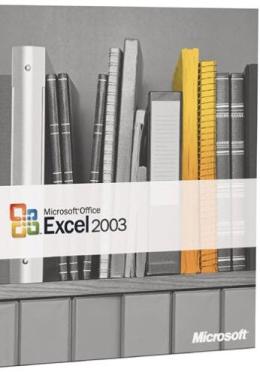 Microsoft Excel 2003 w/ Manual