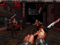 Shadow Warrior