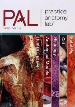 Practice Anatomy Lab 2