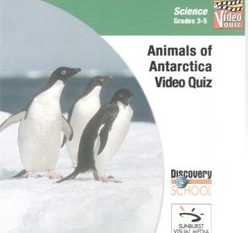 Discovery School: Science Video Quiz: Animals Of The Antarctica Grades 3-5