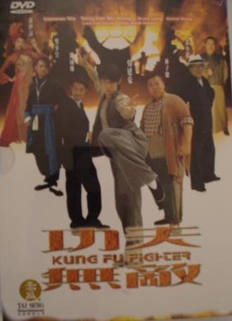 Kung Fu Fighter