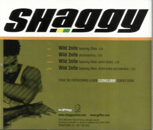 Shaggy: Wild 2nite Promo