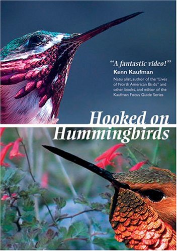 Hooked On Hummingbirds