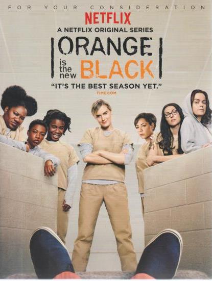 Orange Is The New Black: Season 4: For Your Consideration For SAG Awards 4-Disc Set