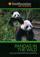 Pandas In The Wild