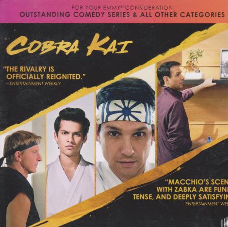 Cobra Kai: FYC