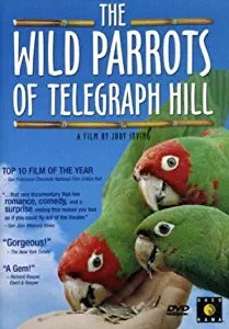 The Wild Parrots of Telegraph Hill