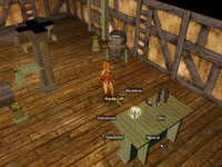 Neverwinter Nights w/ Manual, Cloth Map