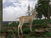 Cabela's Ultimate Deer Hunt 2