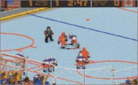 World Hockey 95